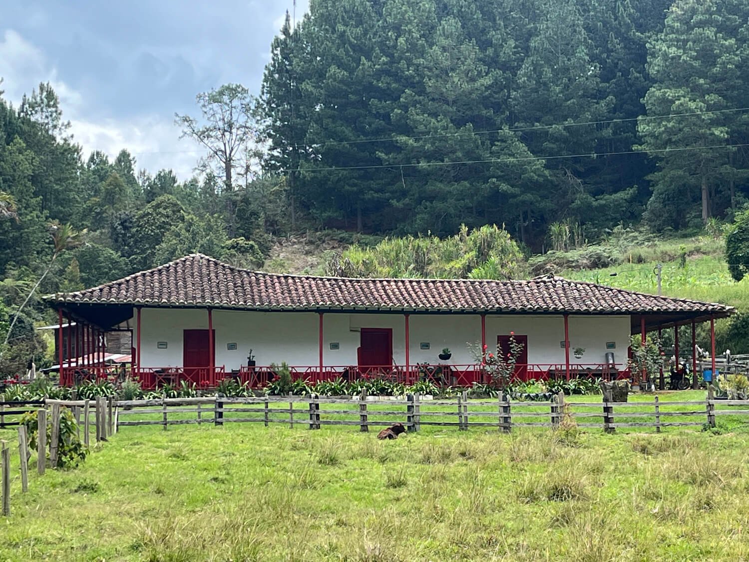 Finca en Jericó