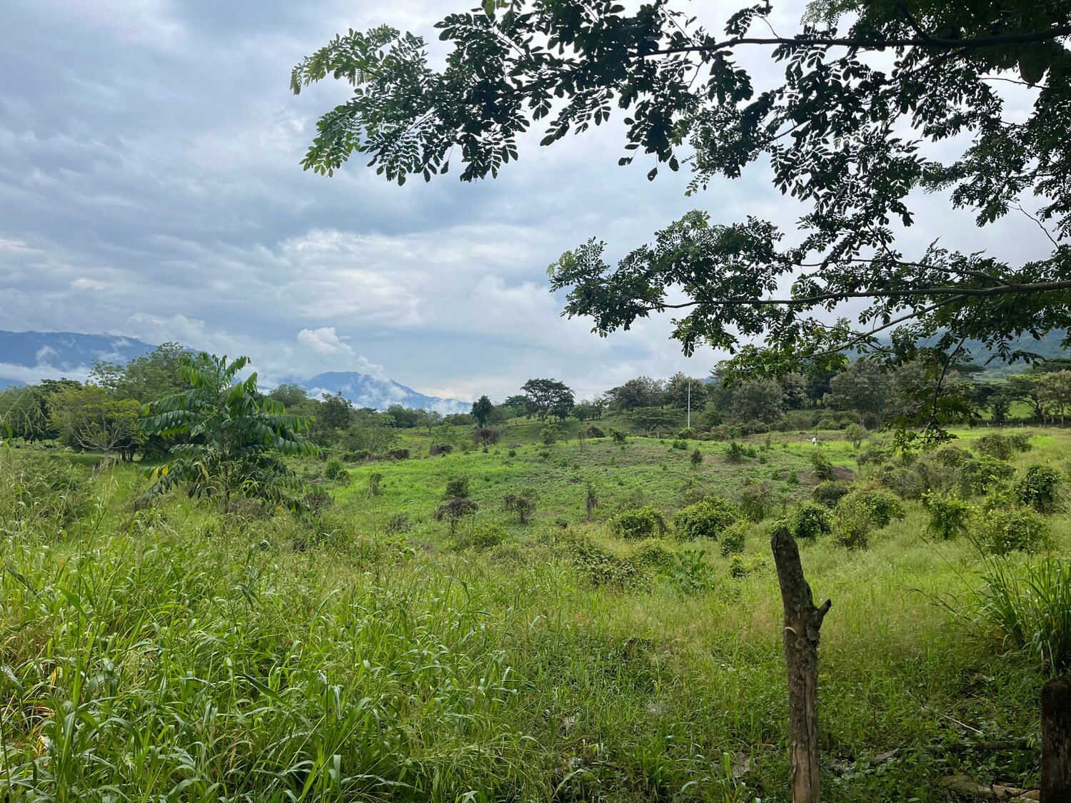 Finca en Fredonia F17