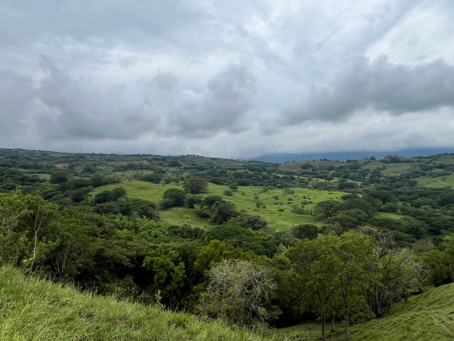 Finca en Fredonia F17