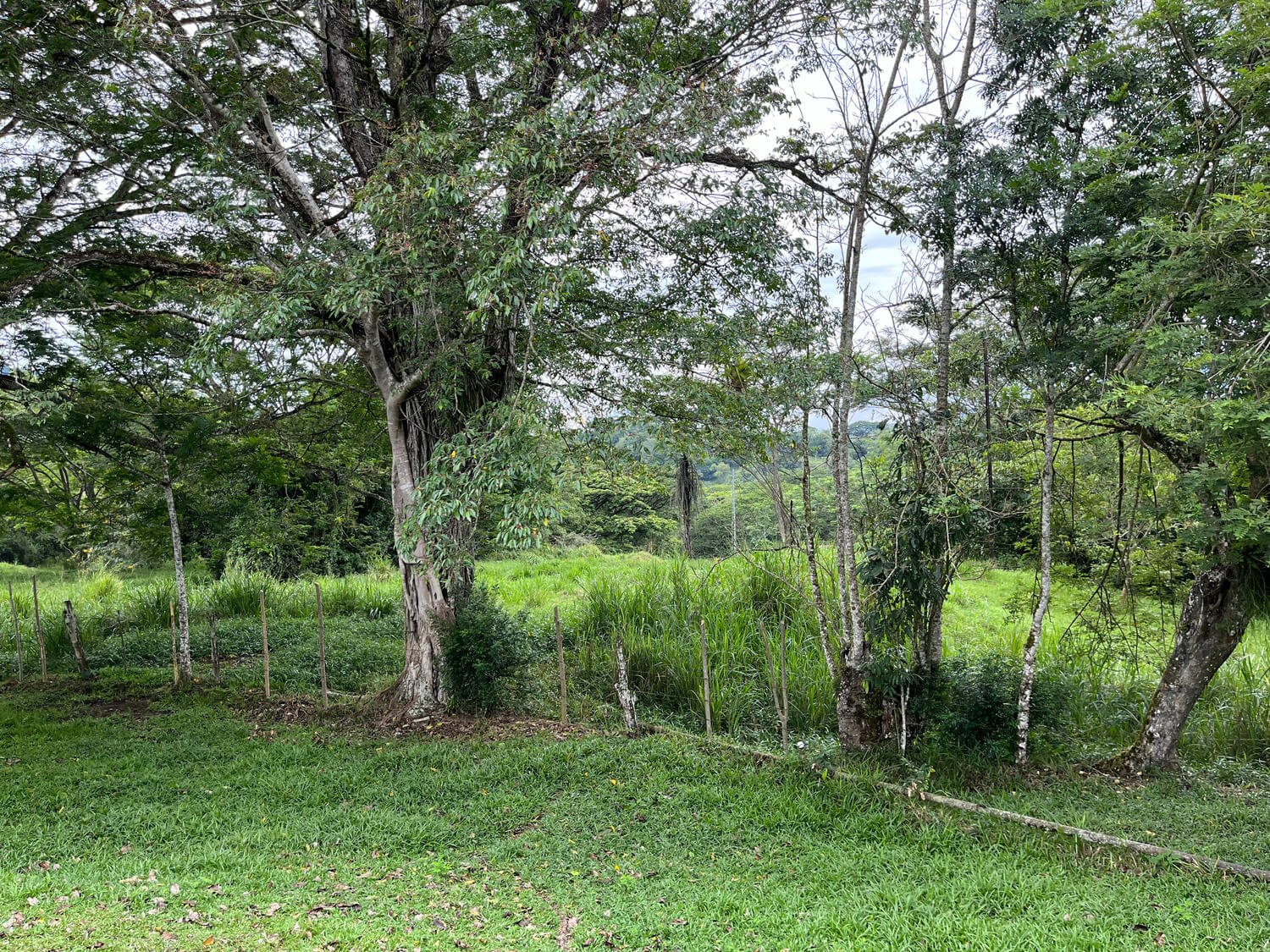 Finca en Fredonia F17