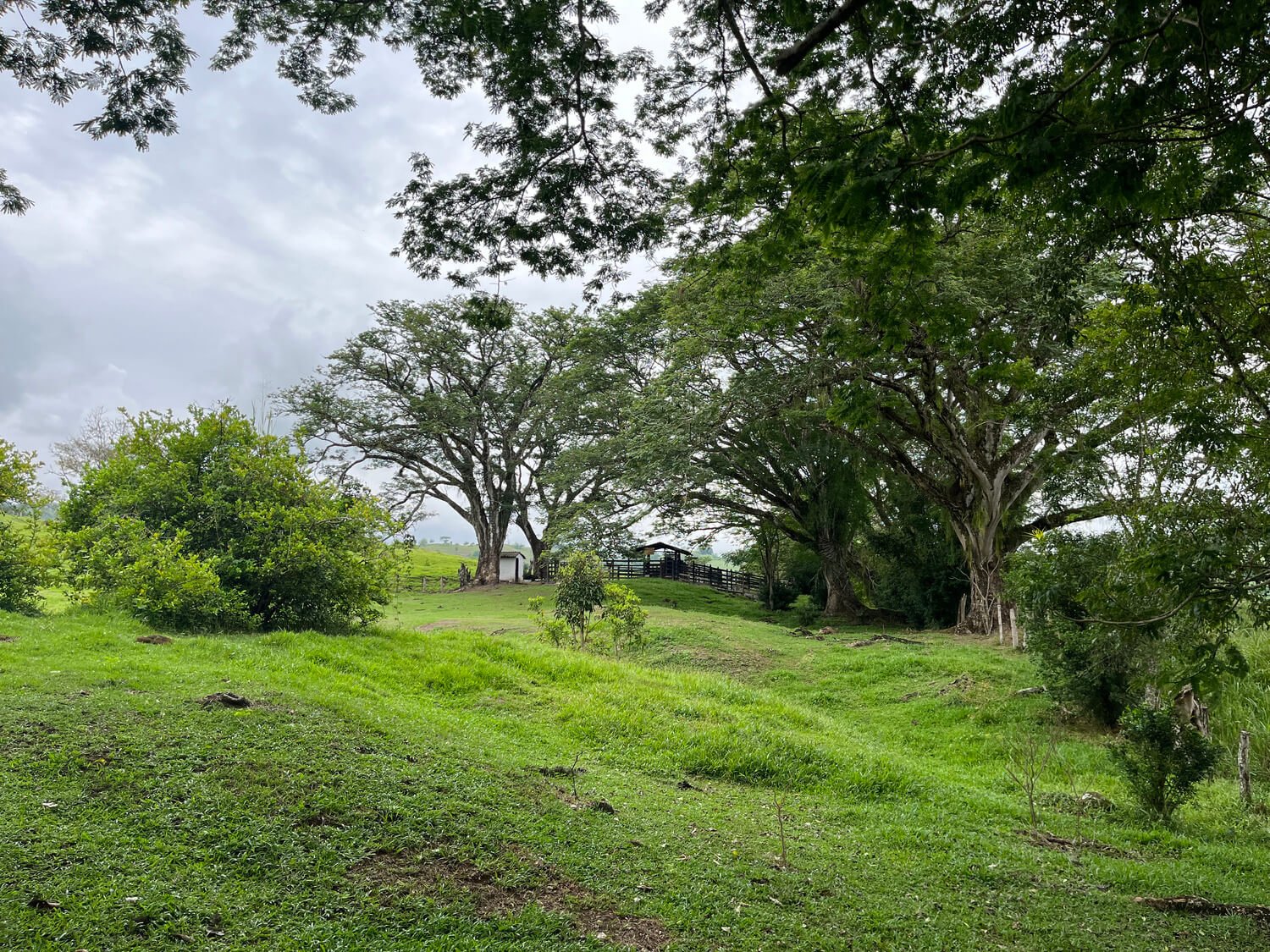 Finca en Fredonia F17