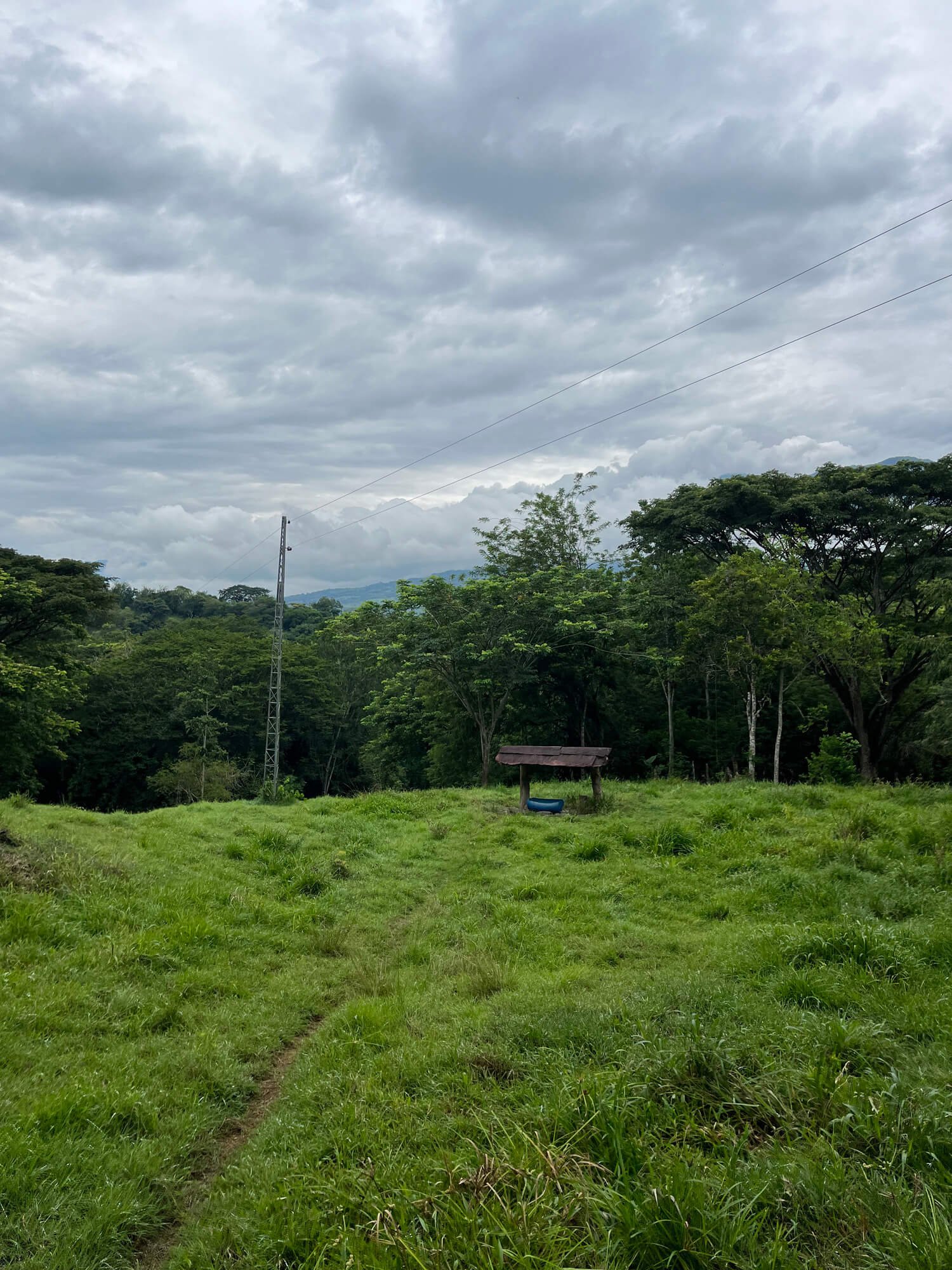 Finca en Fredonia F17