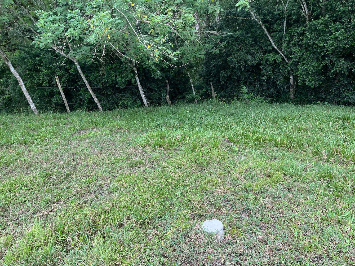 Finca en Fredonia F17