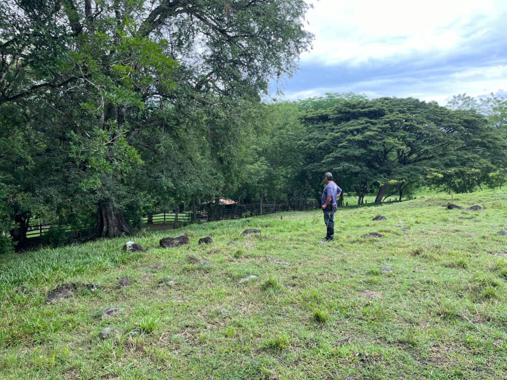 Finca en Fredonia F17