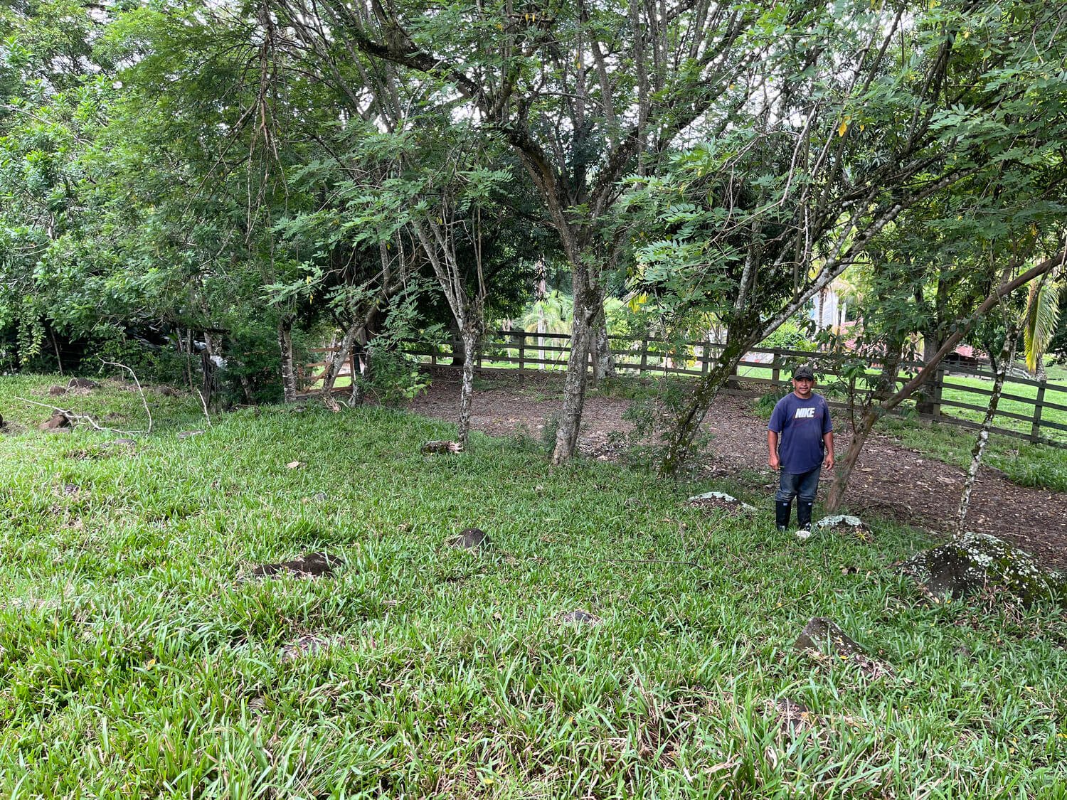 Finca en Fredonia F17