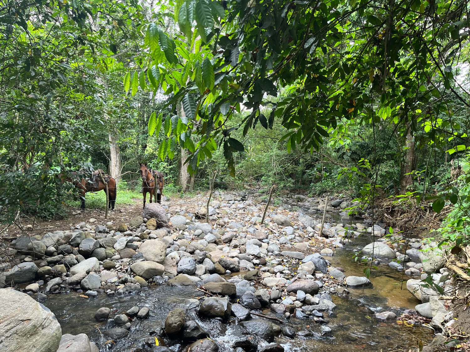 Finca en Fredonia F17