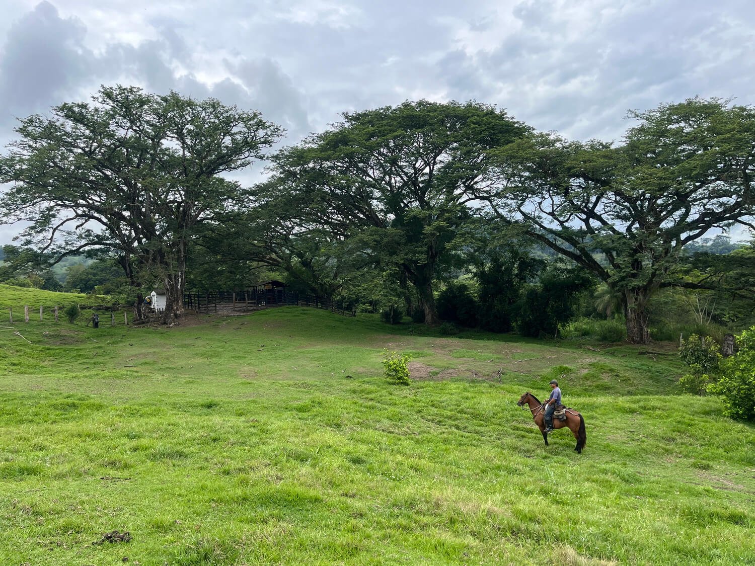Finca en Fredonia F17