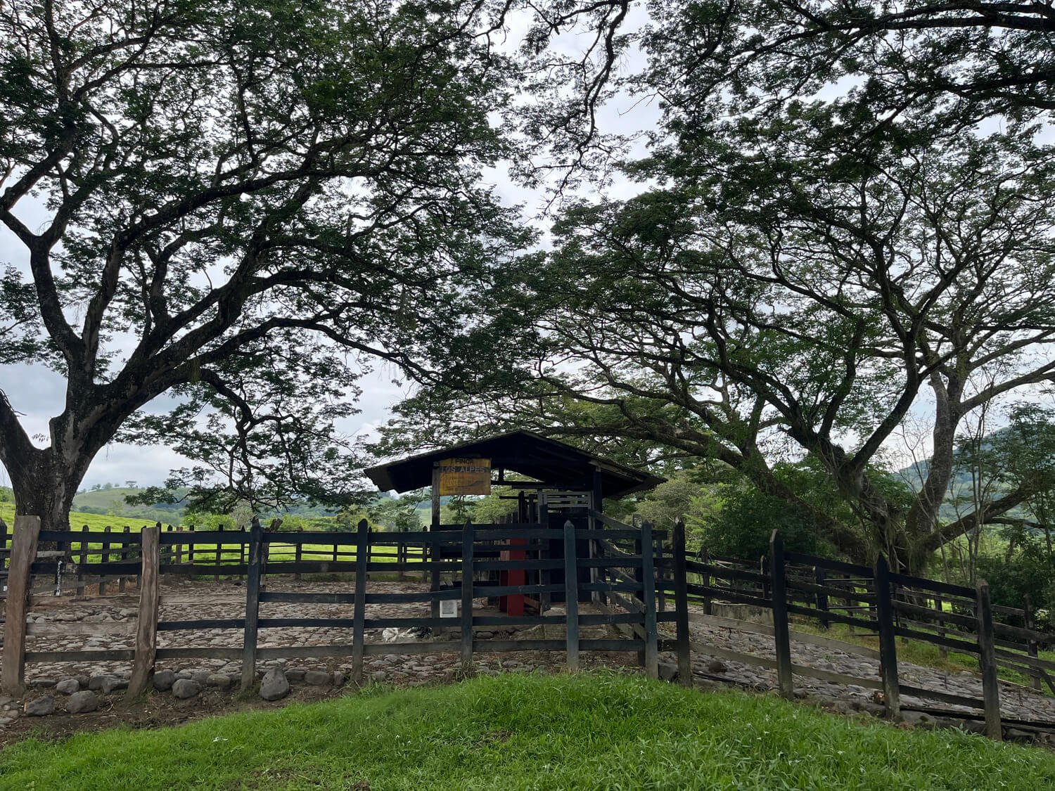 Finca en Fredonia F17