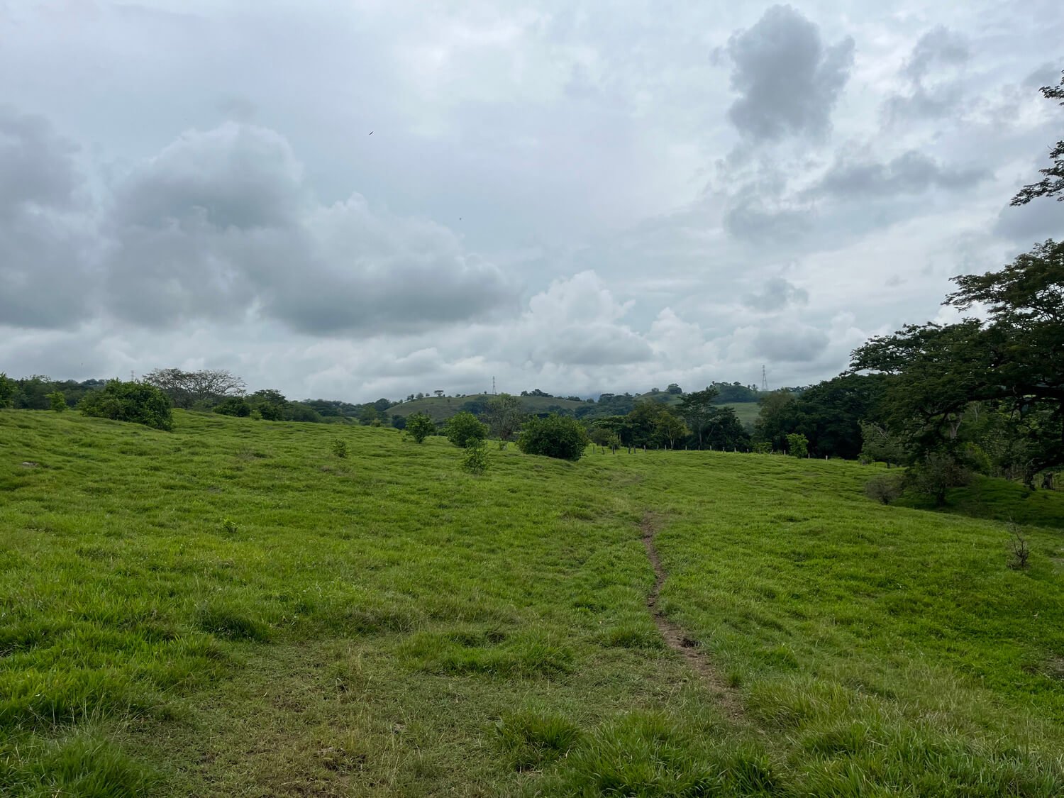 Finca en Fredonia F17