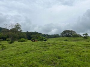 Finca en Fredonia F17
