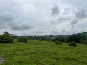 Finca en Fredonia F17