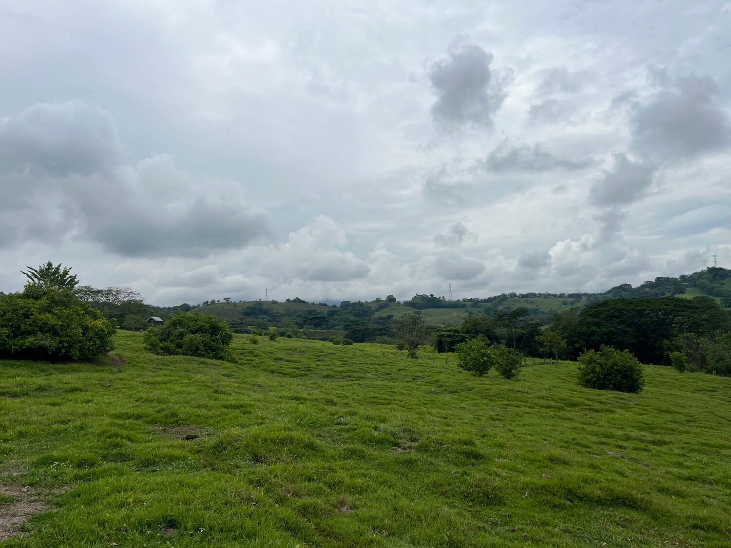 Finca en Fredonia F17