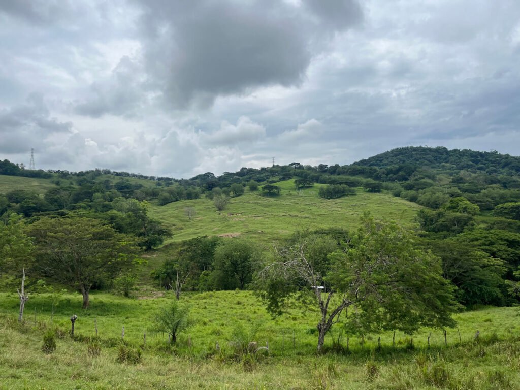 Finca en Fredonia F17