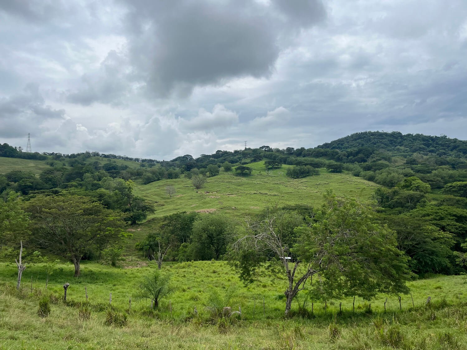 Finca en Fredonia F17