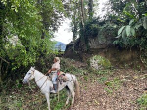 Finca en Jericó