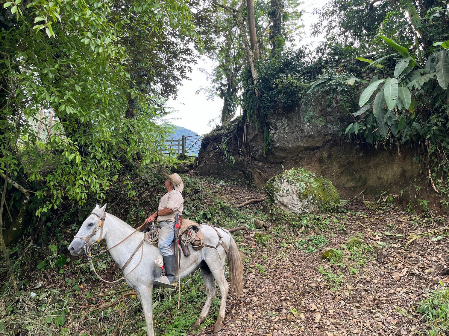 Finca en Jericó