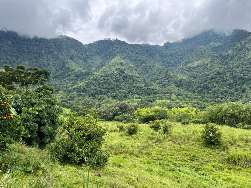 Finca en Jericó