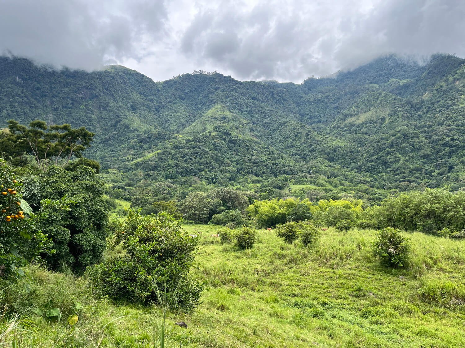 Finca en Jericó
