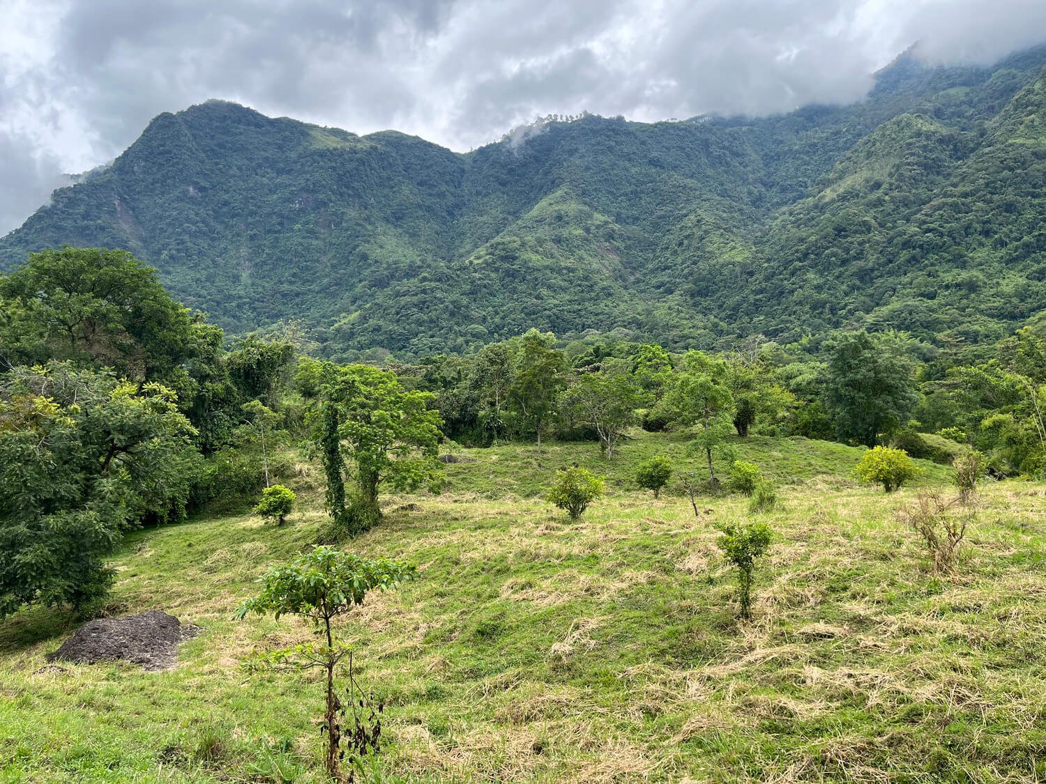 Finca en Jericó
