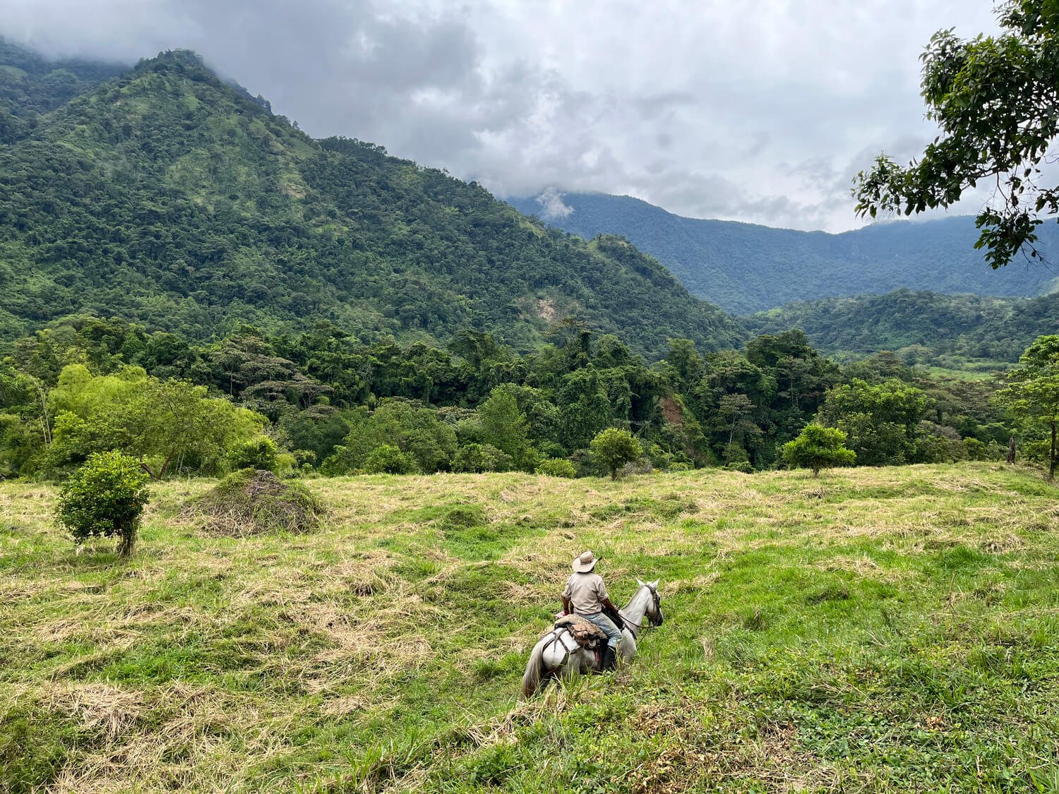 Finca en Jericó
