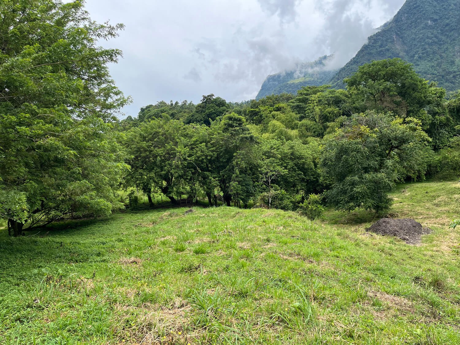 Finca en Jericó