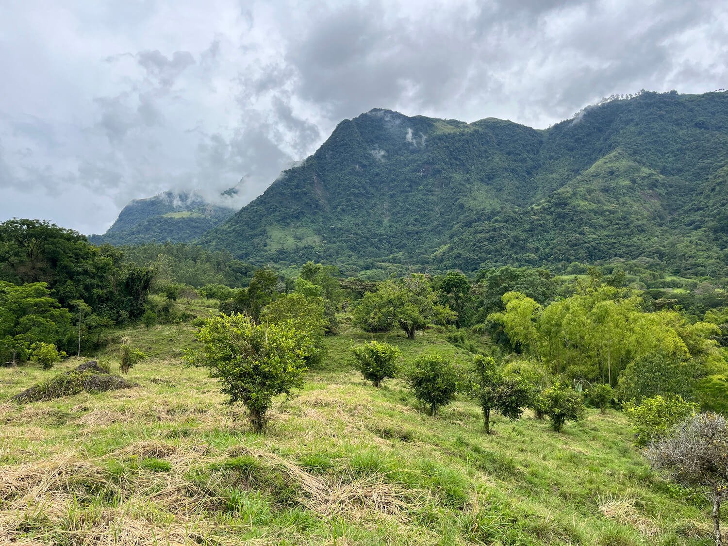 Finca en Jericó