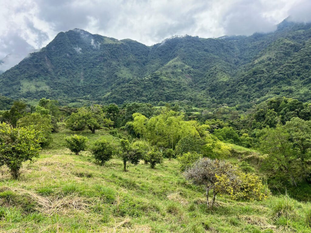 Finca en Jericó