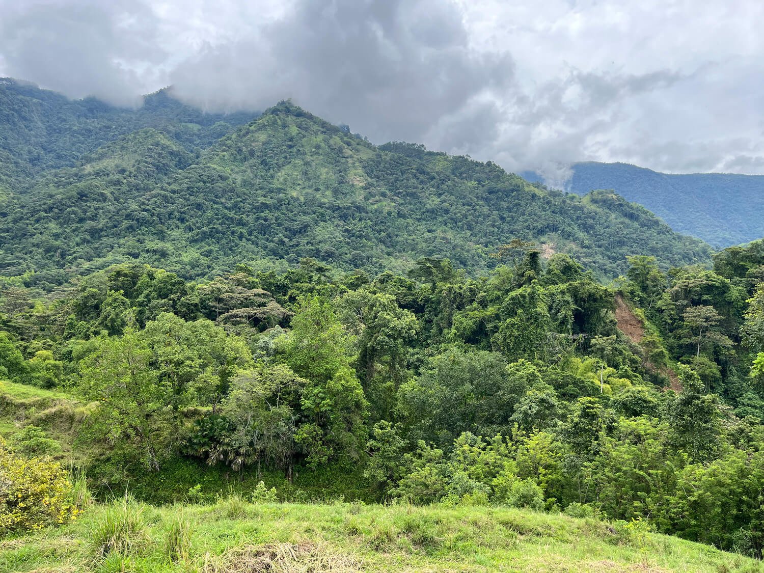 Finca en Jericó