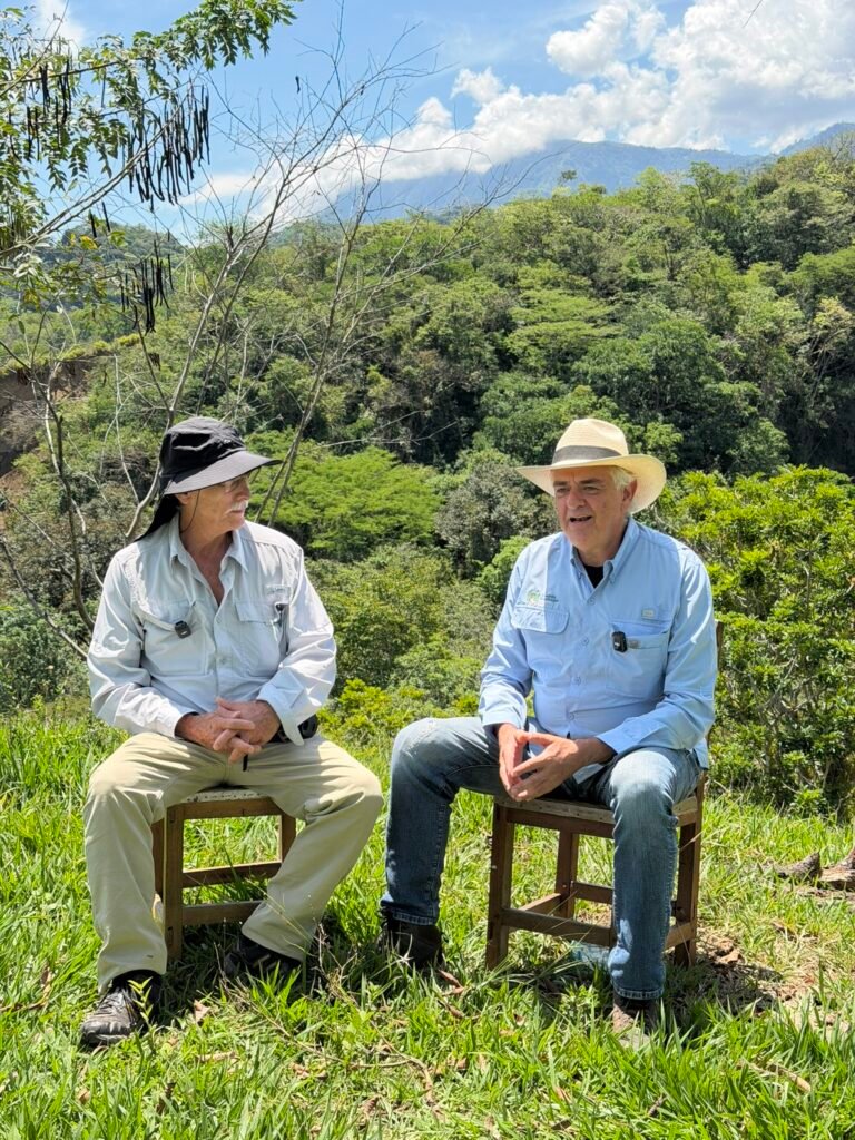 Liderazgo