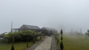 Finca en Caramanta