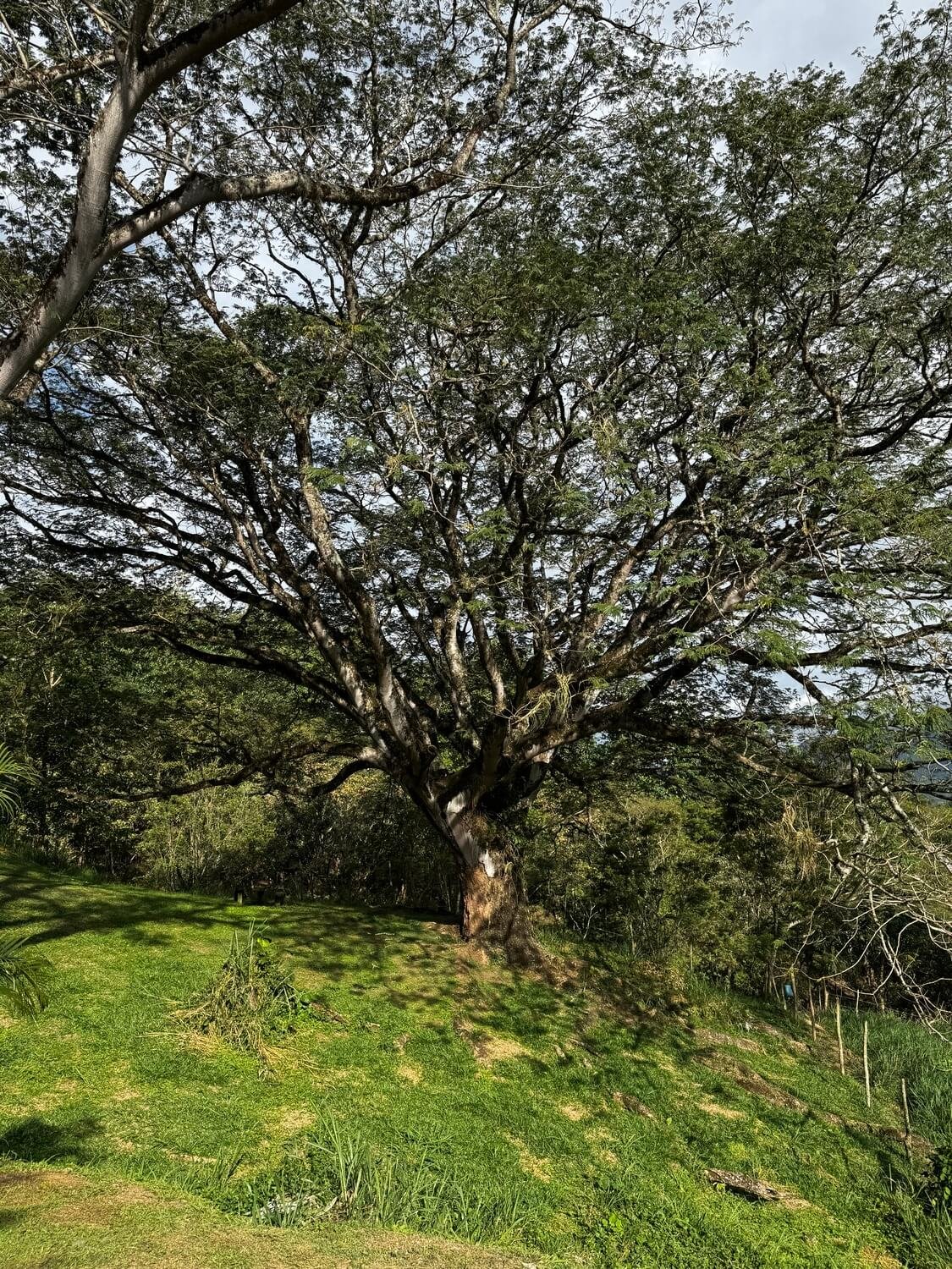 Casa Parcelación Los Búcaros