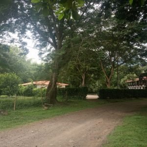 Lote en Cauca Viejo