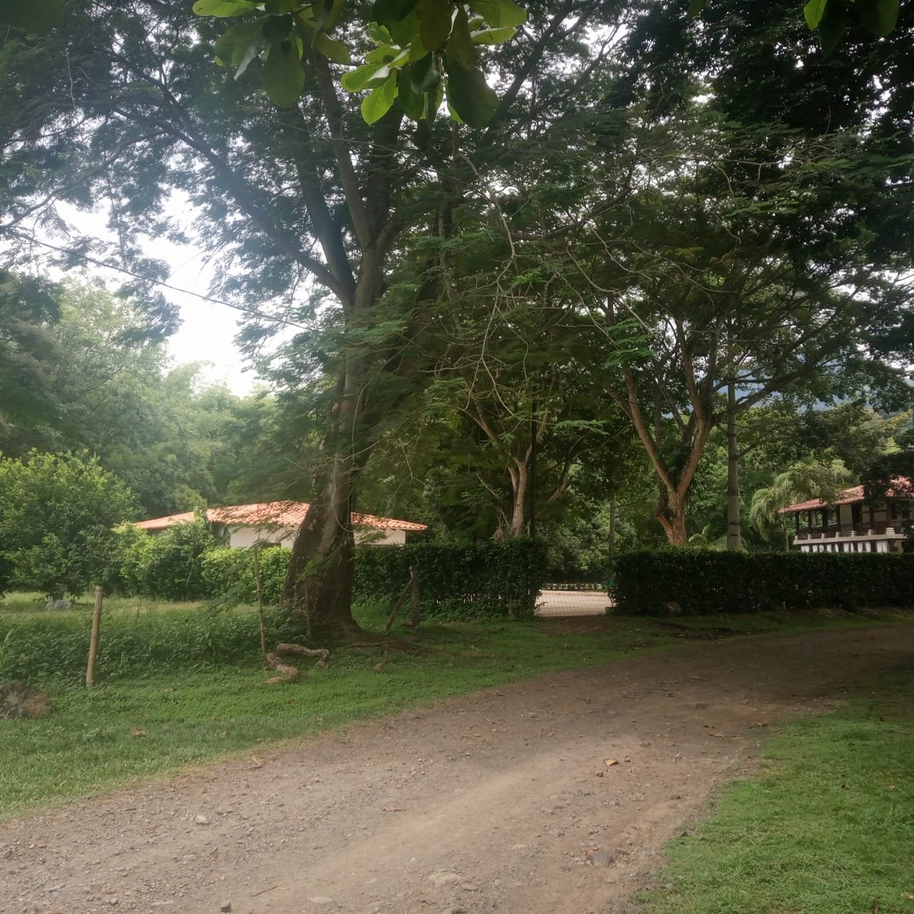 Lote en Cauca Viejo