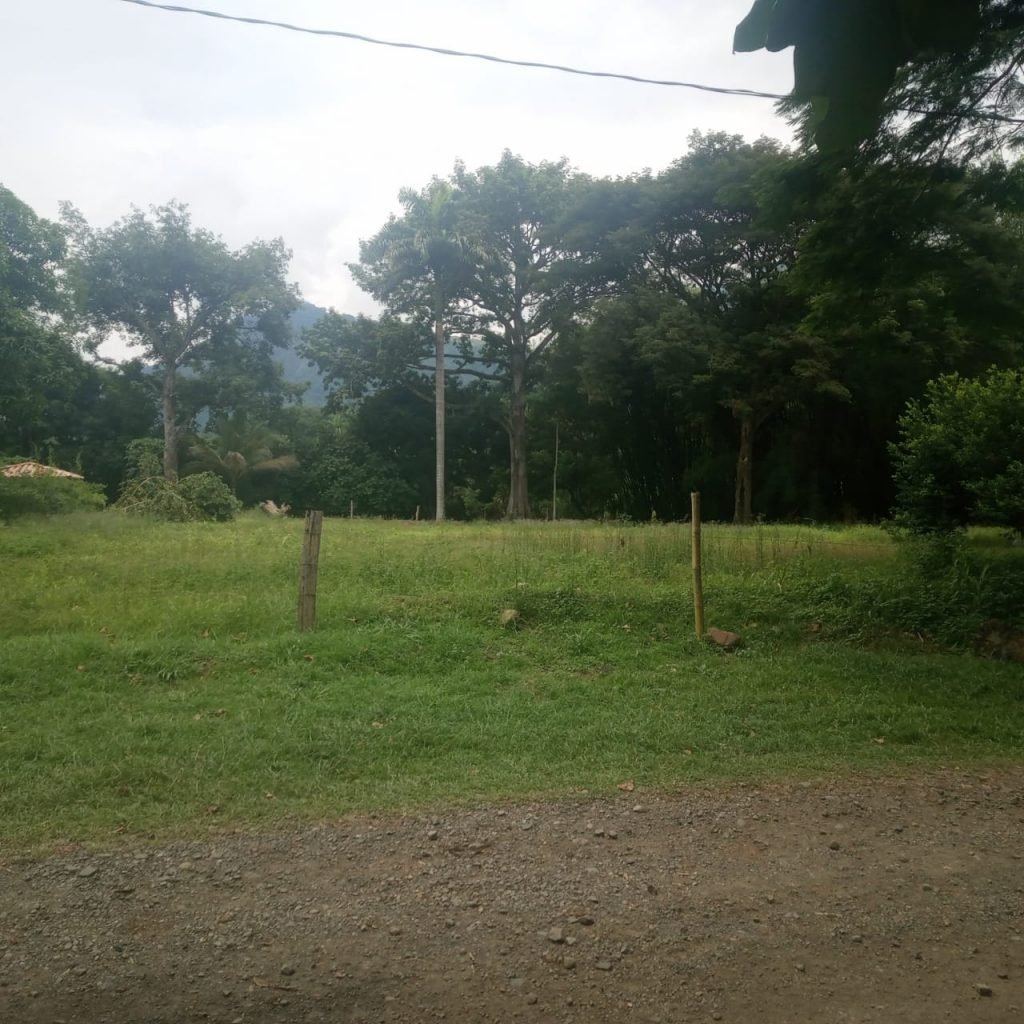 Lote en Cauca Viejo
