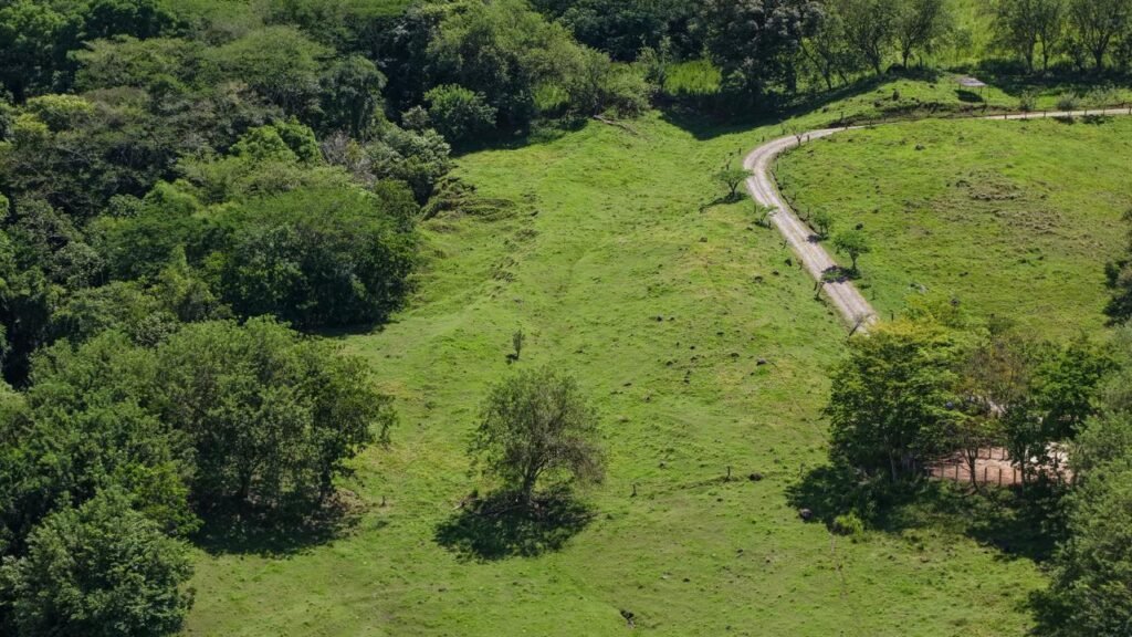 Cauca Viejo