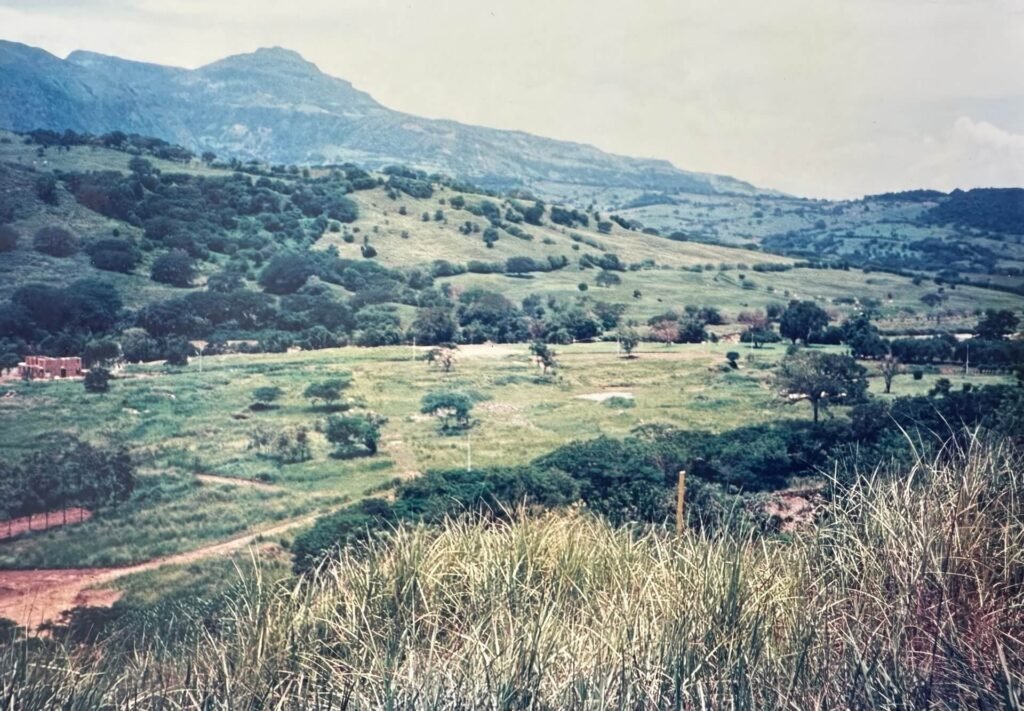 Terreno Cauca Viejo