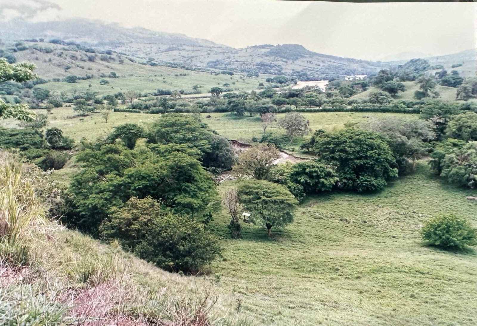 Inicios Cauca Viejo