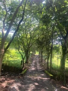 Finca en Fredonia