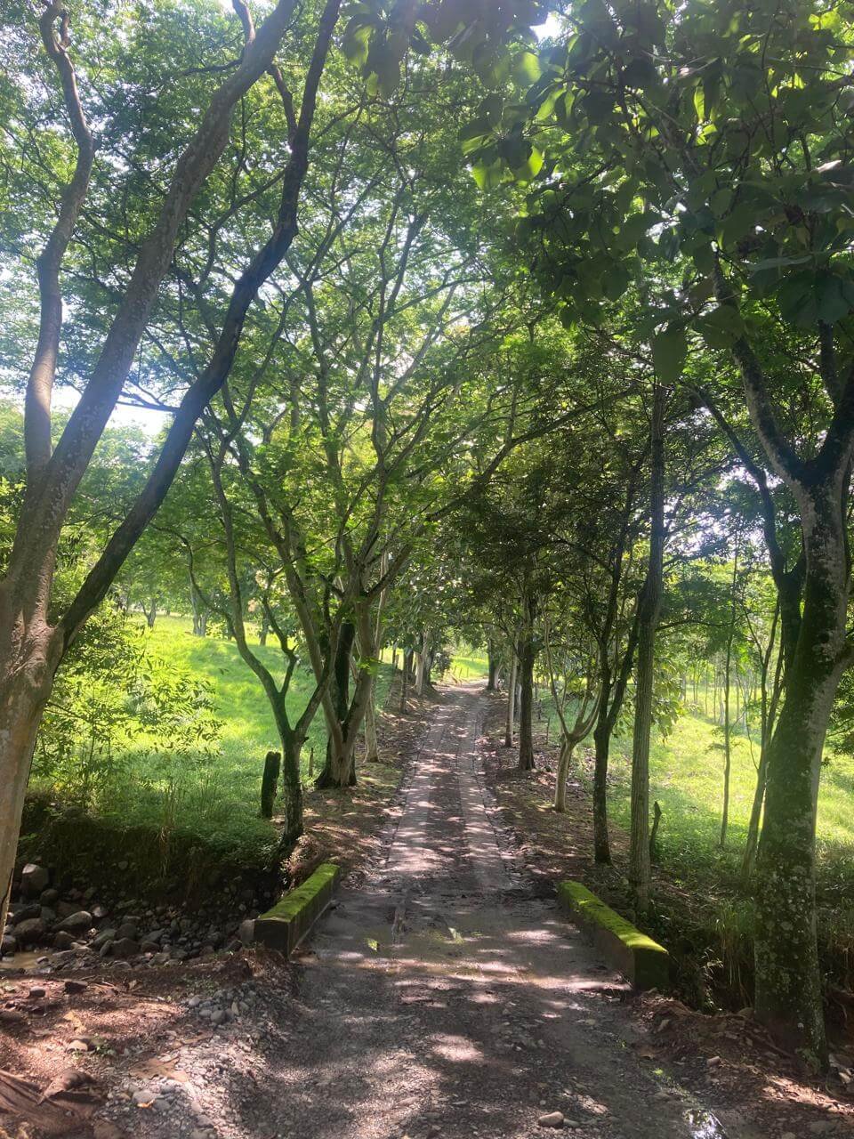 Finca en Fredonia