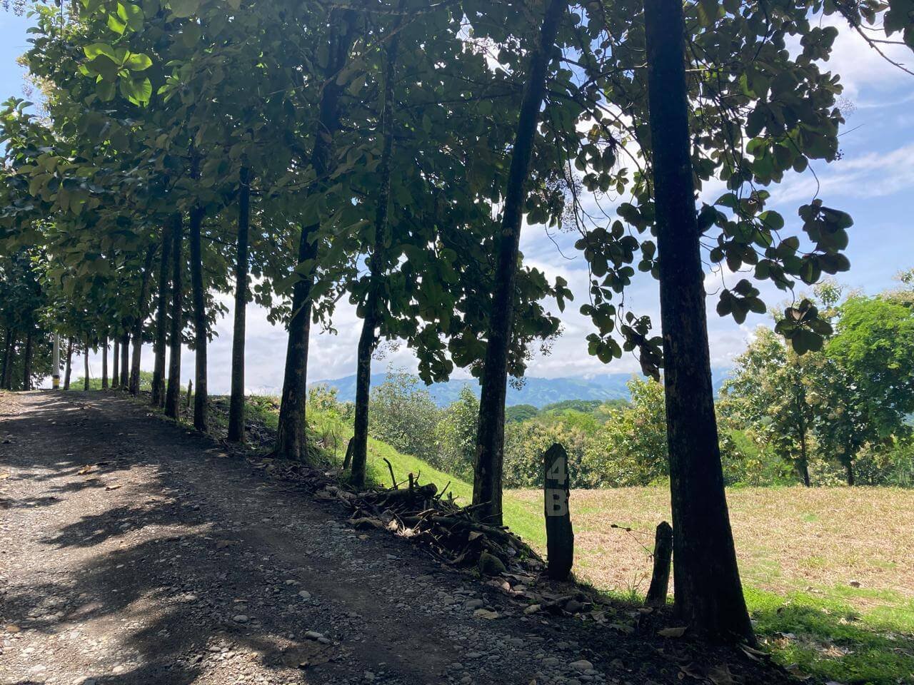 Finca en Fredonia