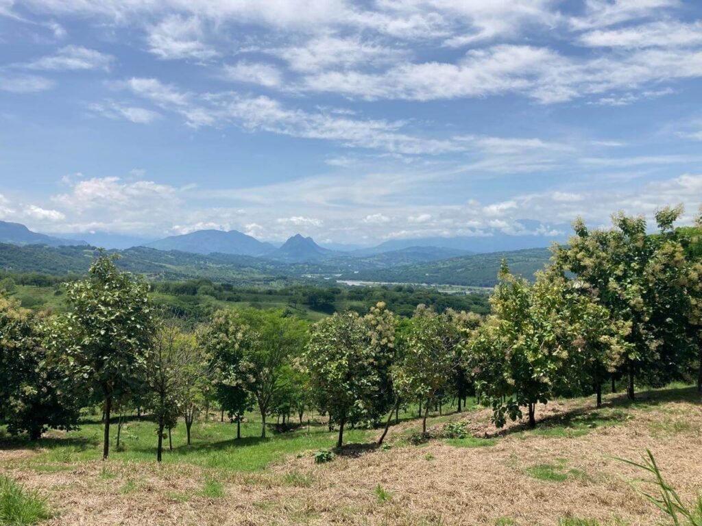 Finca en Fredonia