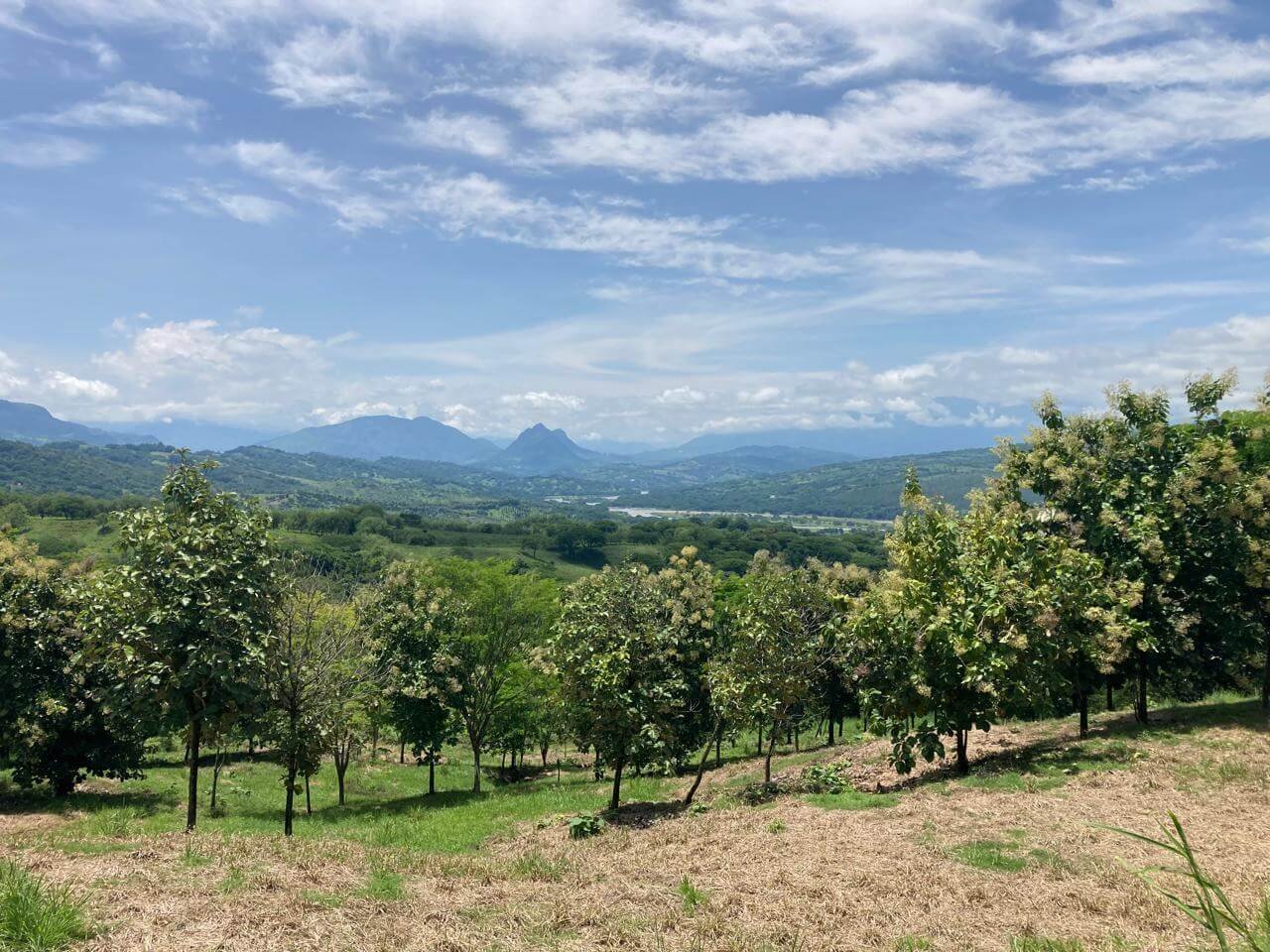 Finca en Fredonia