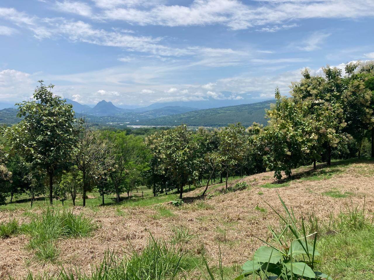 Finca en Fredonia