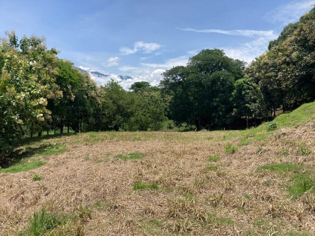 Finca en Fredonia