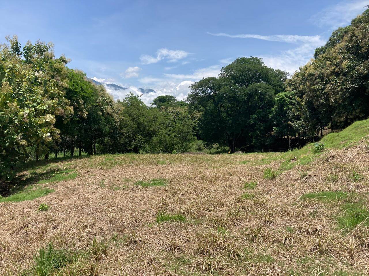 Finca en Fredonia