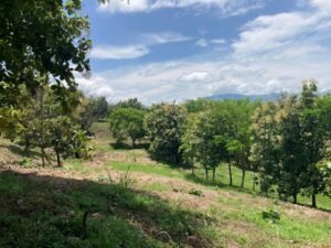 Finca en Fredonia