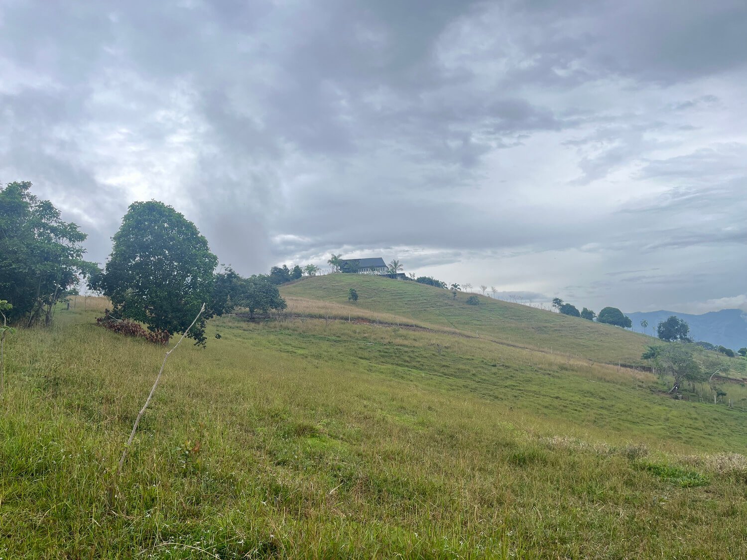 Finca en La Pintada