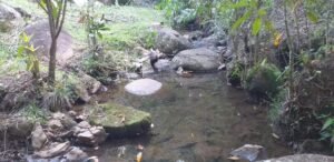Lote en Támesis