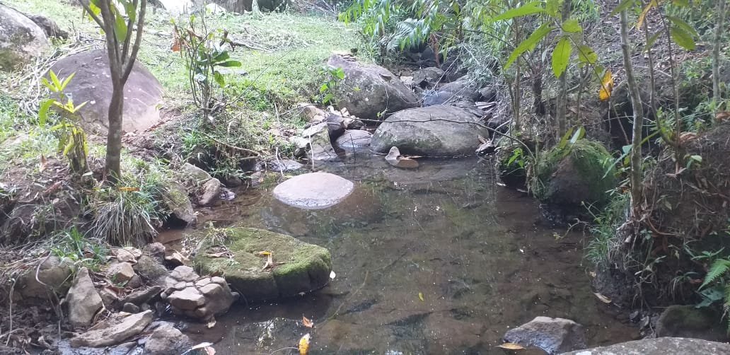 Lote en Támesis