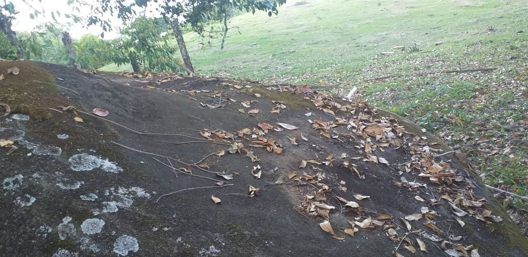 Lote en Támesis